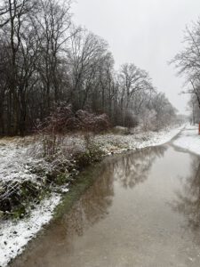 Große Teile des Waldes stehen und Wasser und ...auch Schnee